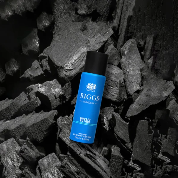 Voyage Body Spray 250ml - Image 2