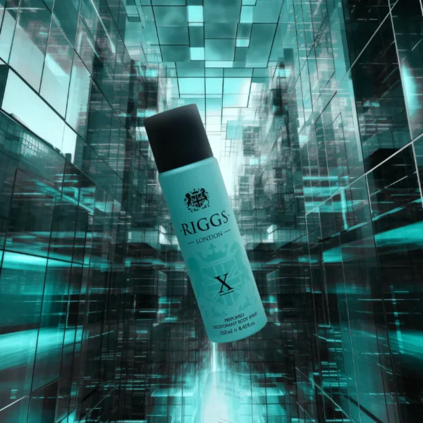 X Body Spray / 250ml - Image 2